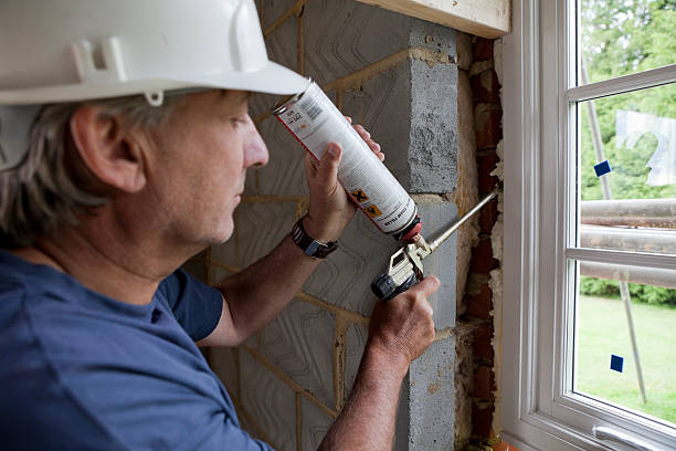 Best Geographic-Specific Insulation Services in Janesville, MN
