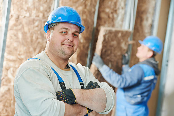 Best Eco-Friendly Insulation in Janesville, MN